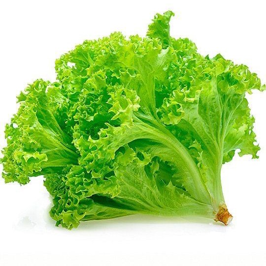 Selada