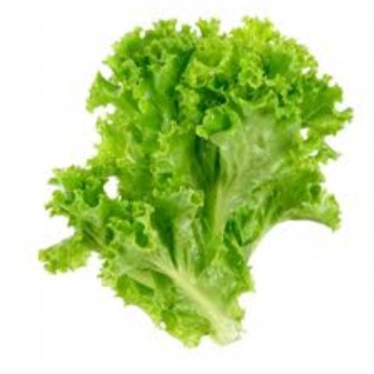 Selada