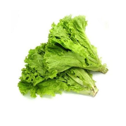 Selada