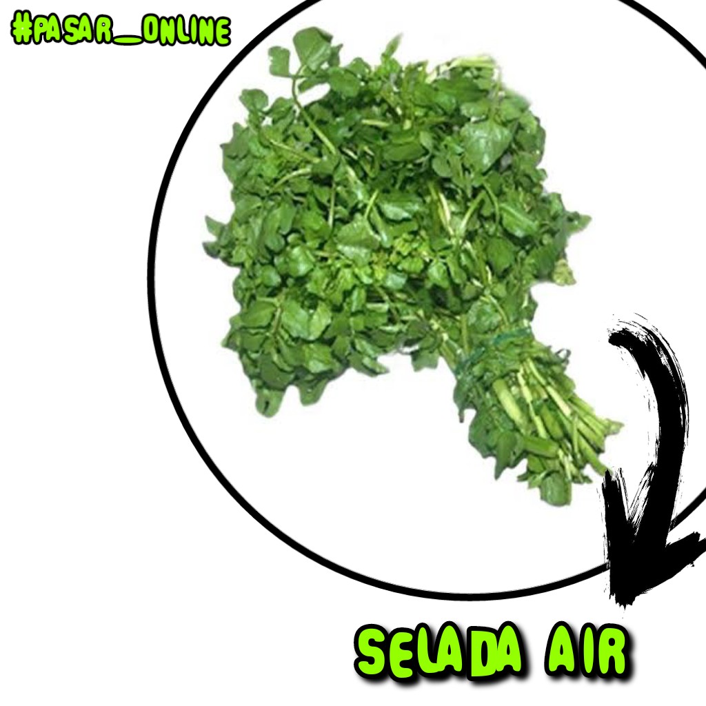 Selada Air Per Ikat