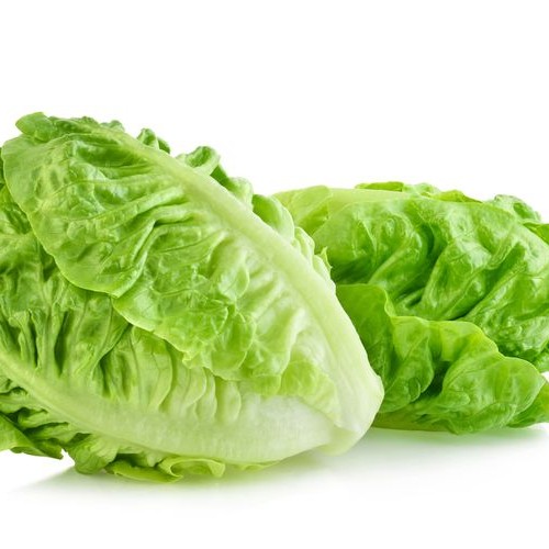Selada Romaine