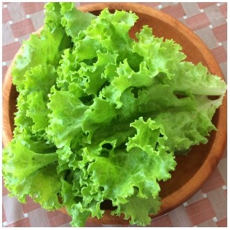 Selada Segar 250 gr