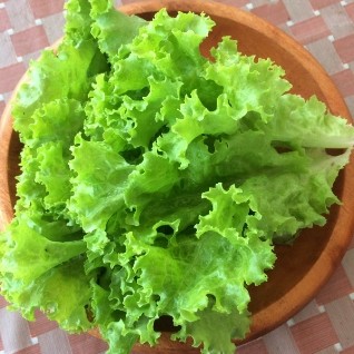Selada Segar 500 Gram