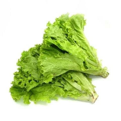 Selada Slada
