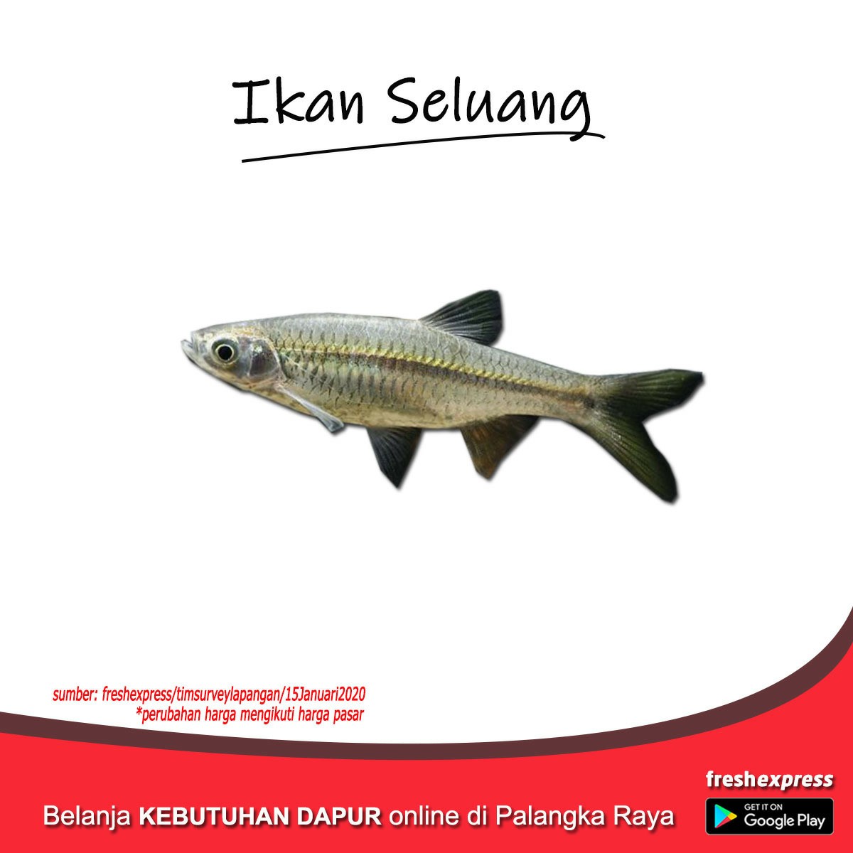 Seluang 1 Kg