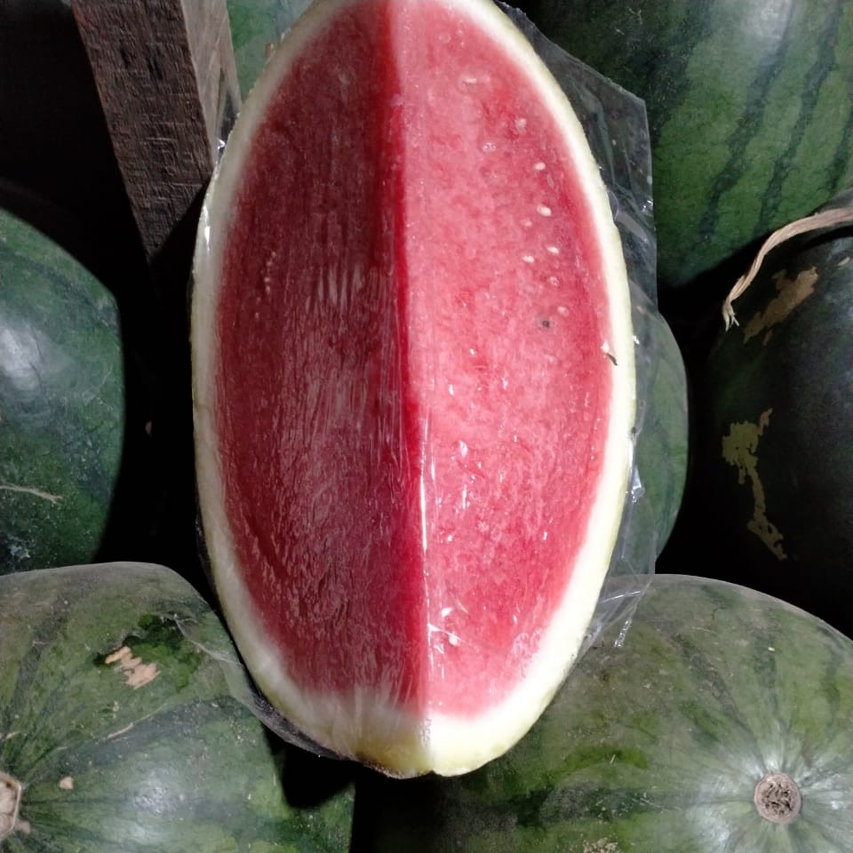 Semangka
