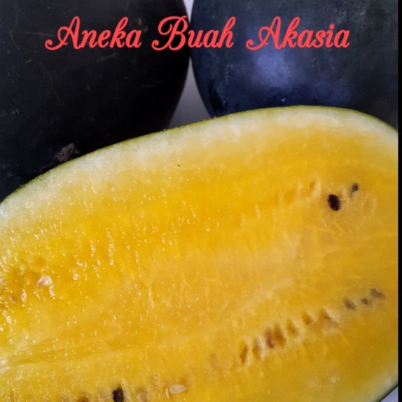 Semangka Kuning