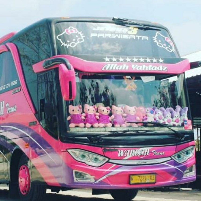 Sewa Dan Carter