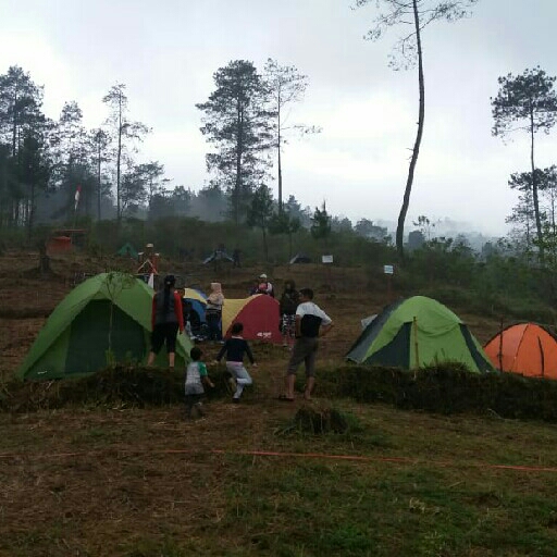 Sewa Tenda