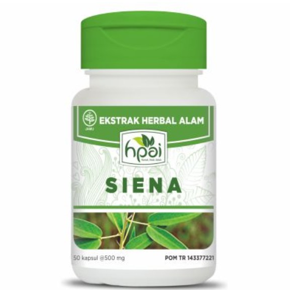Siena Jati Cina