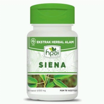 Siena Jati Cina