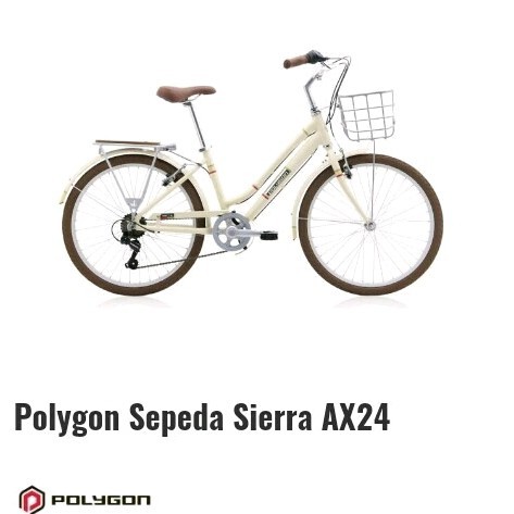 Sierra Ax 24 City Bike