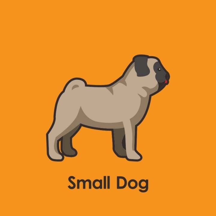 Small Dog  