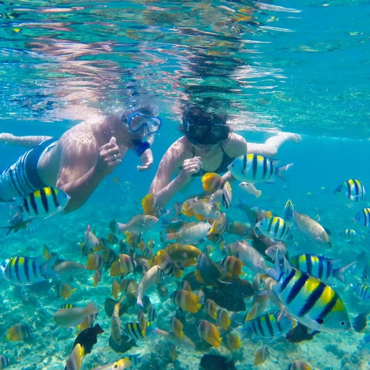 Day Trip Lembongan Snorkeling 2