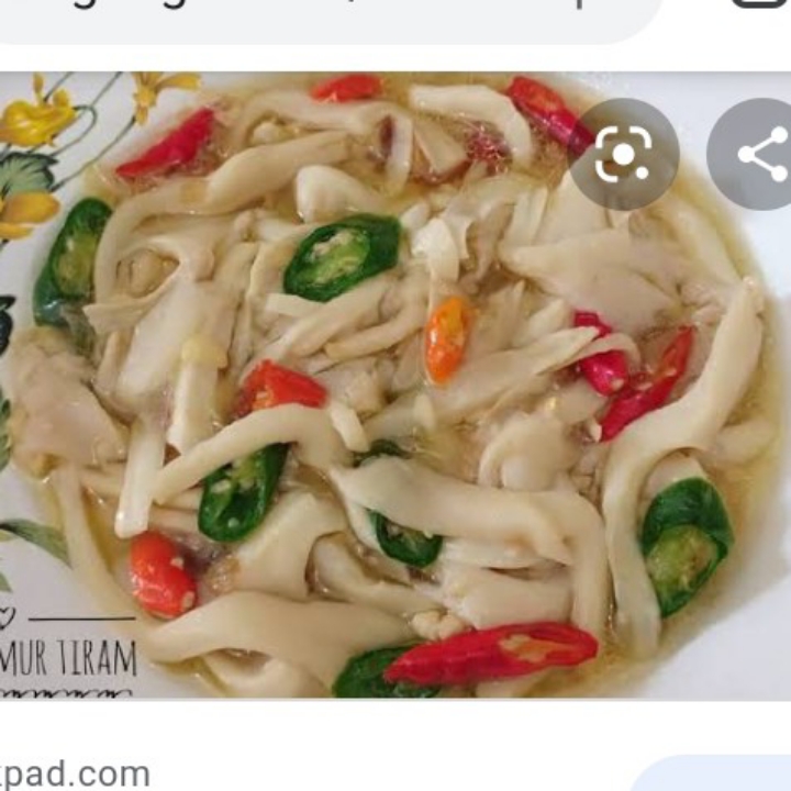 Sop Jamur