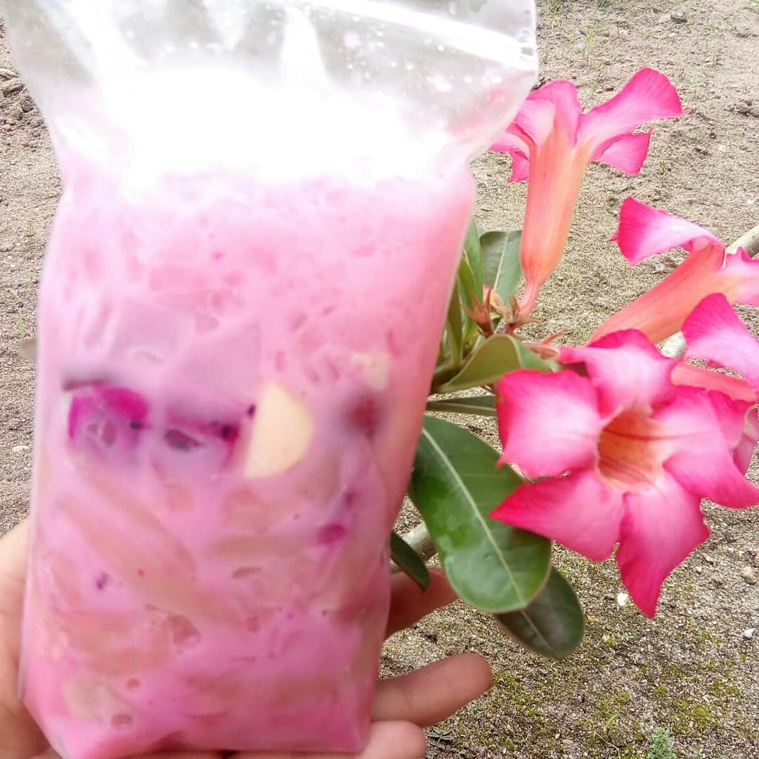 Sop Kelapa Kw
