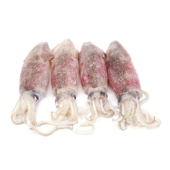 Sotong