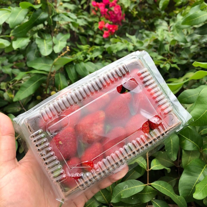 Strawberry 2
