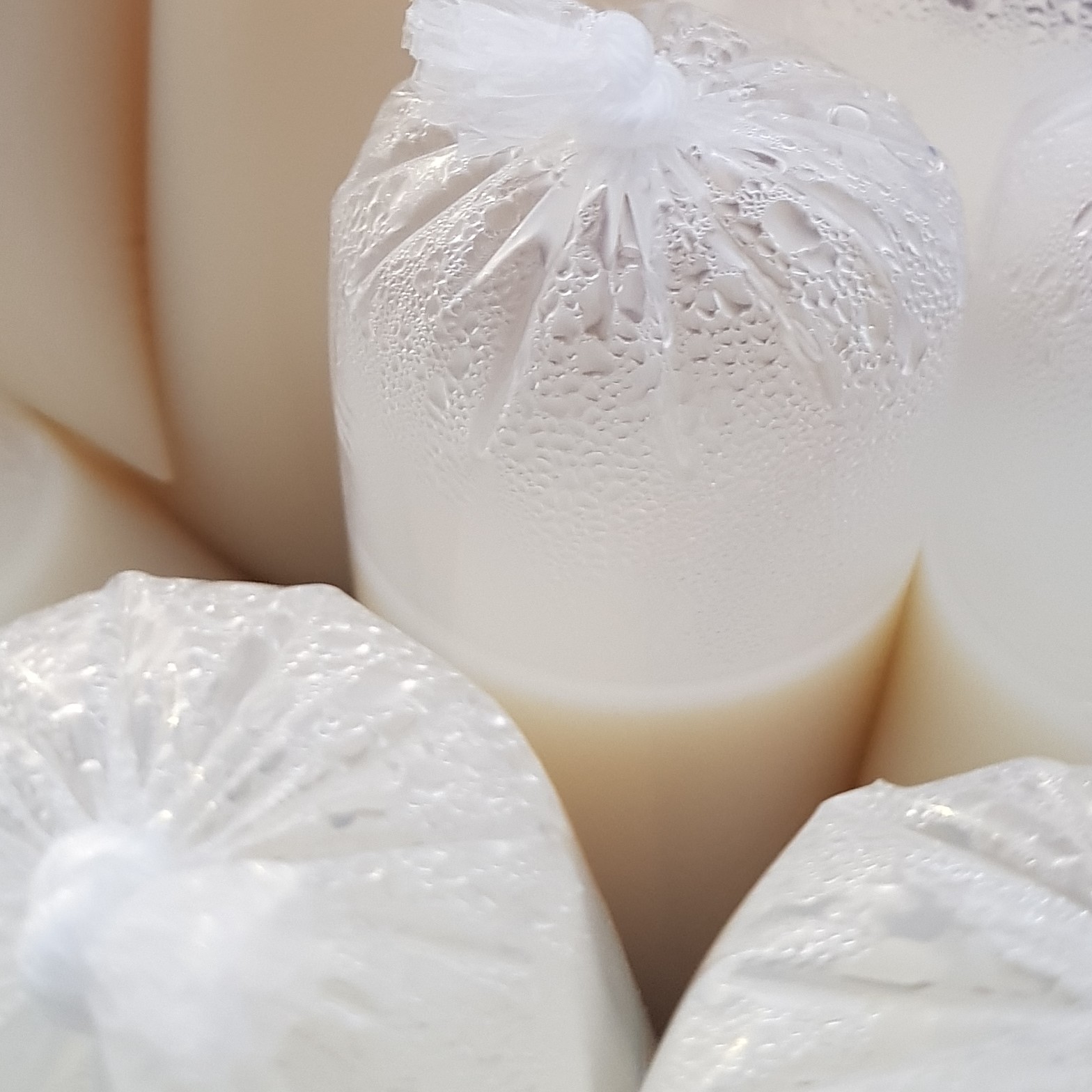 Sule Susu Kedelai