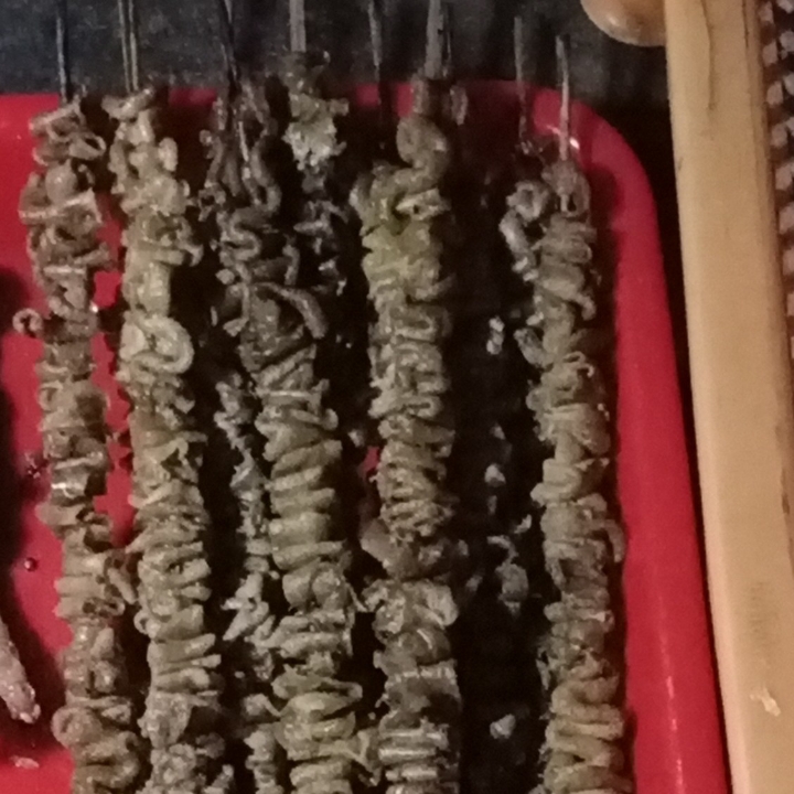 Sundukan Usus 