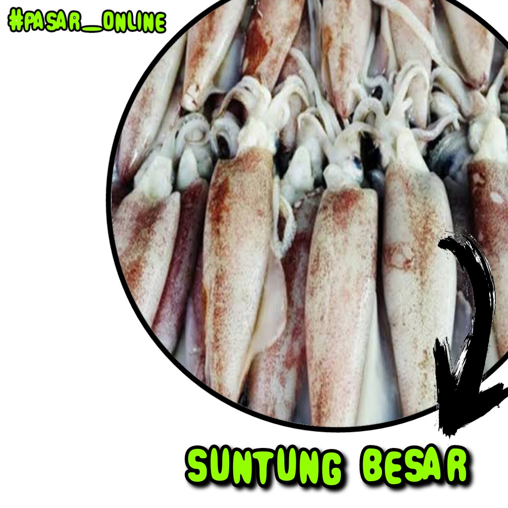 Suntung Besar 1kg
