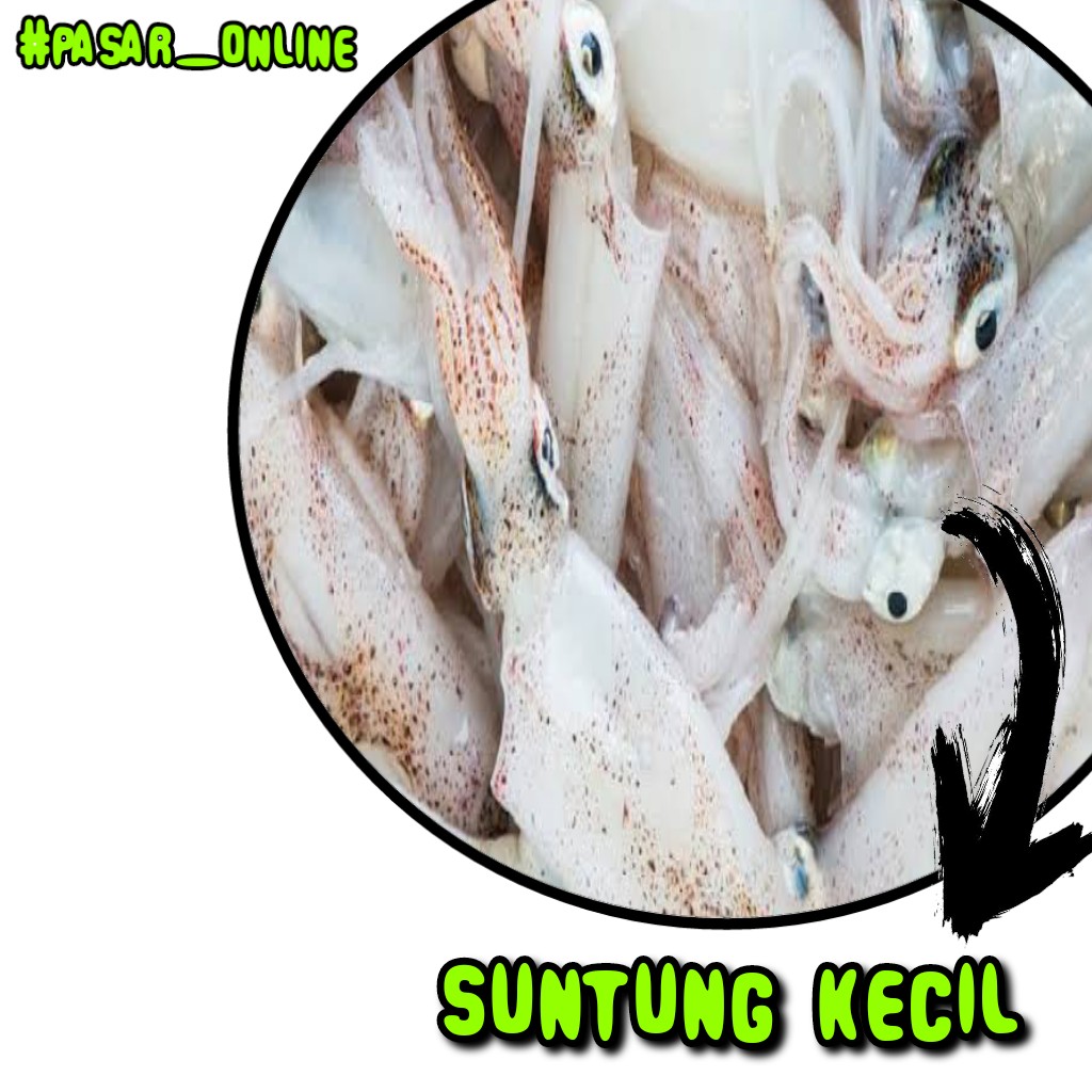 Suntung Kecil 1kg