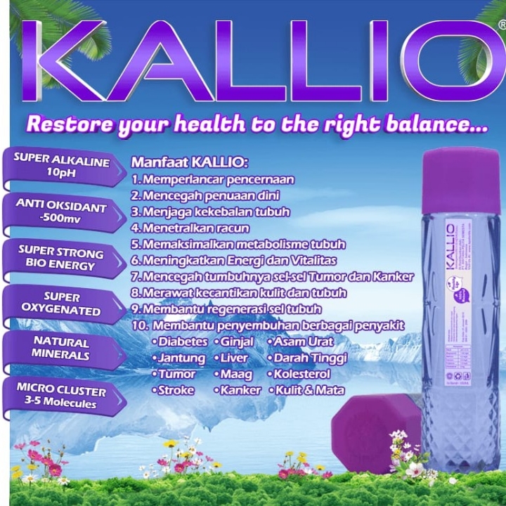 Super Stable Alkaline Water BPS KALLIO  2