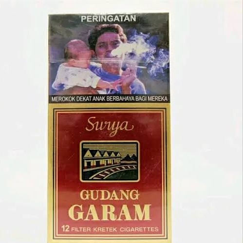 Surya 12