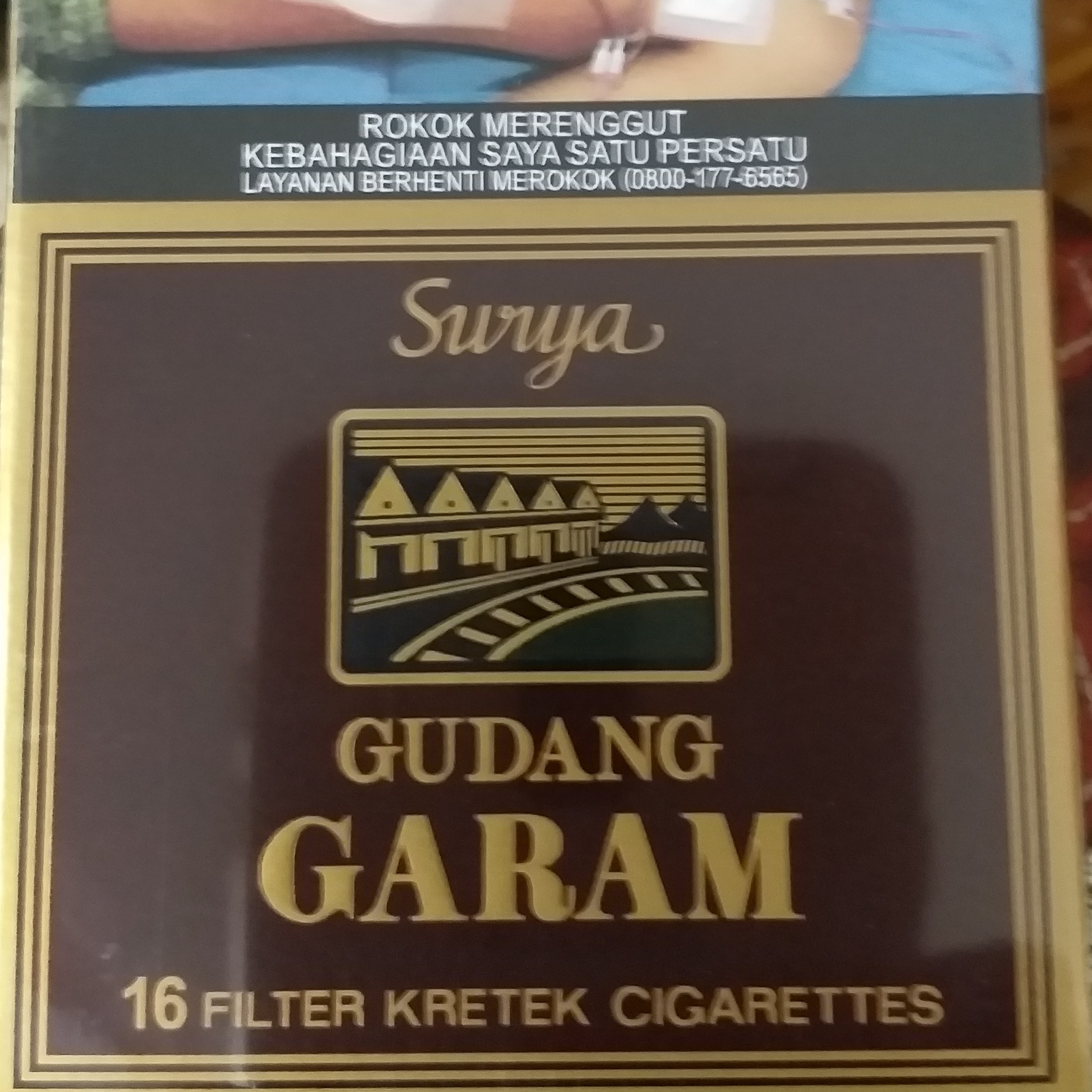 Surya 16
