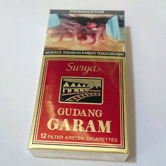 Surya 12s