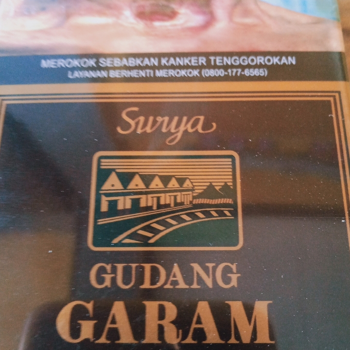 Surya besar