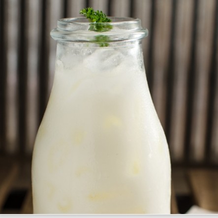 Susu Dingin