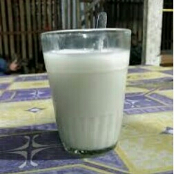 Susu Hangat Putih
