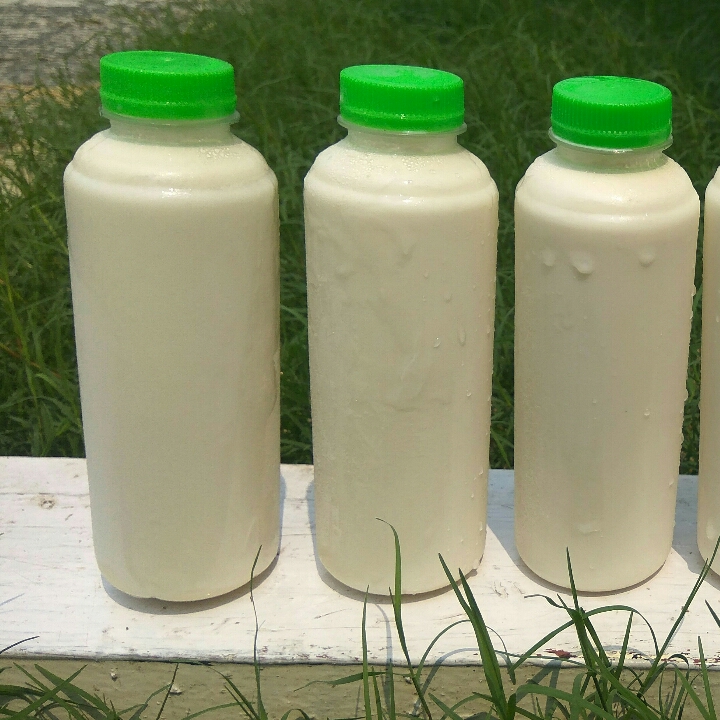 Susu Kambing Etawa Murni
