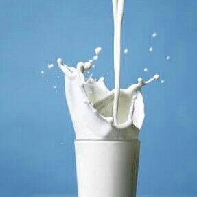 Susu Kambing Etawa Murni