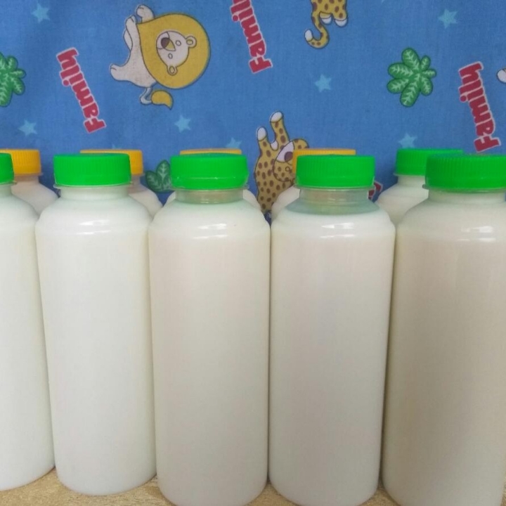 Susu Kambing Etawa Murni Dan Segar 3