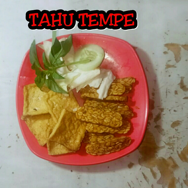 TAHU TEMPE