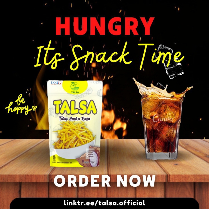 TALSA 3