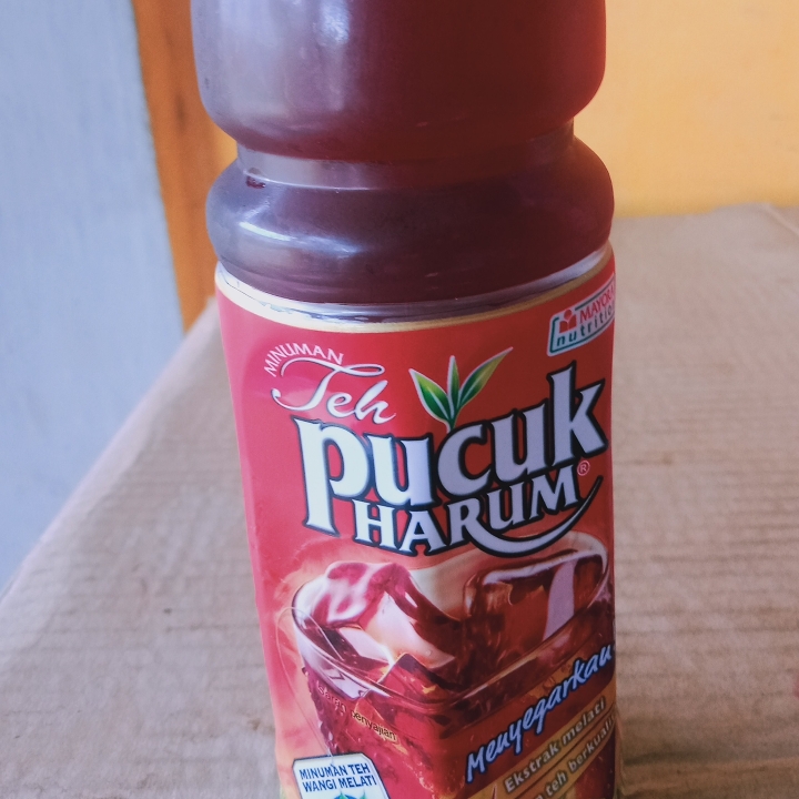 TEH PUCUK DINGIN