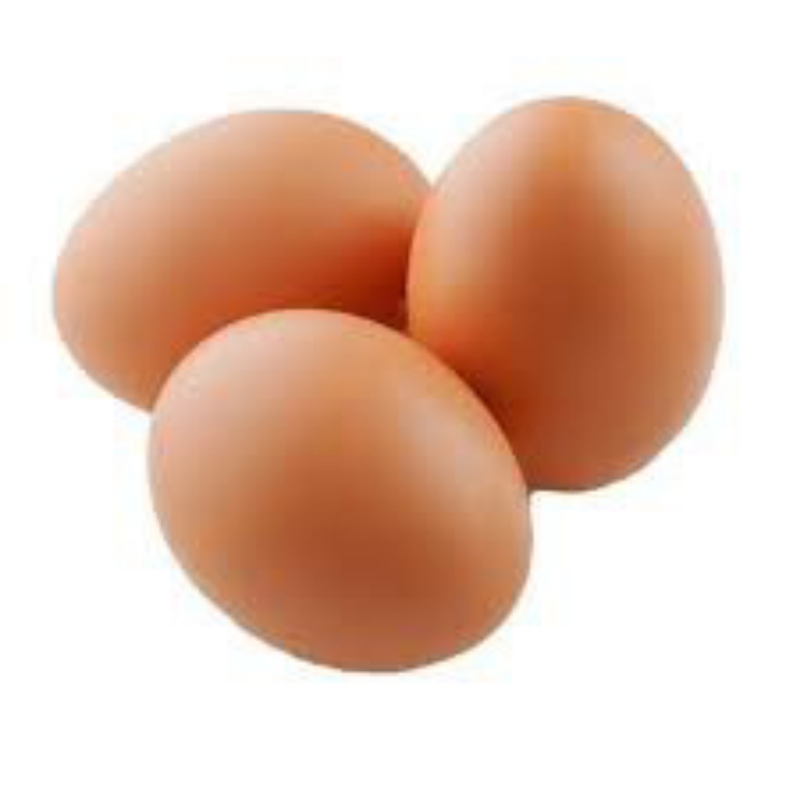 TELOR AYAM