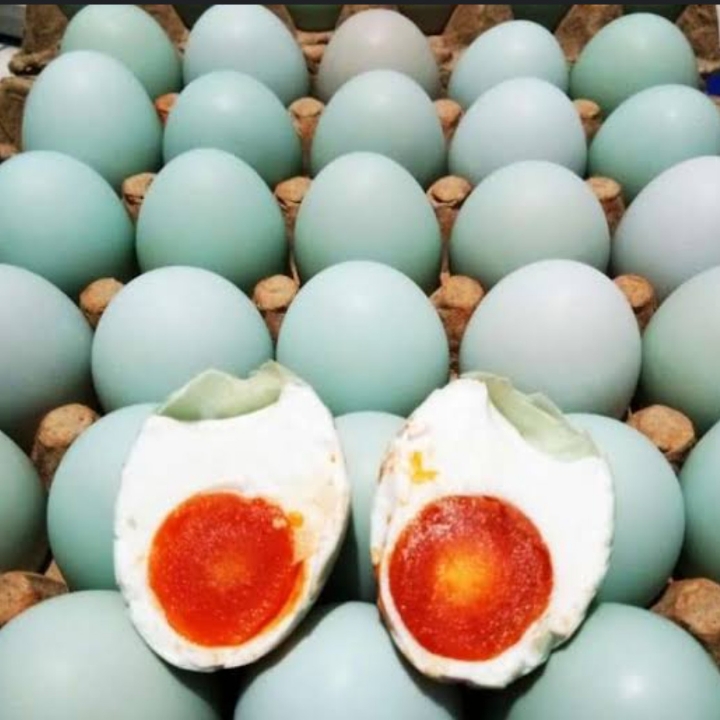 TELUR ASIN 