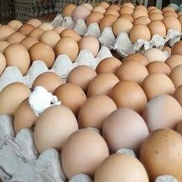 TELUR AYAM NEGERI NON SORTIR MERK ASAL MEDAN PER 30 BUTIR 2