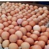 TELUR AYAM NEGERI KECIL MERK ASAL MEDAN PER 30 BUTIR