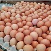 TELUR AYAM NEGERI MEDIUM KECIL MERK ASAL MEDAN PER 30 BUTIR 3