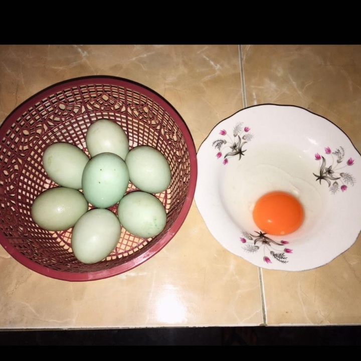 Telur Bebek Ukuran BK Isi 10 Butir