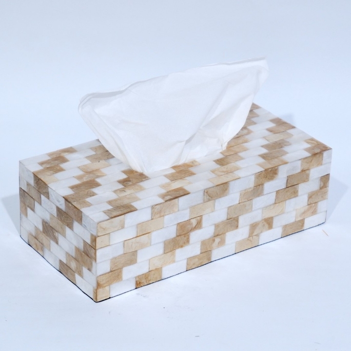 TEMPAT TISSUE KERANG 3