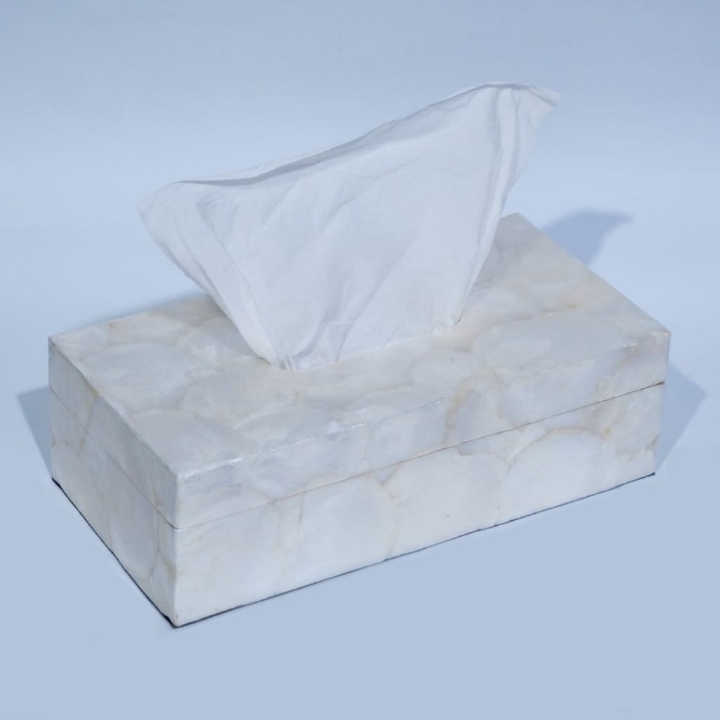 TEMPAT TISSUE KERANG 4