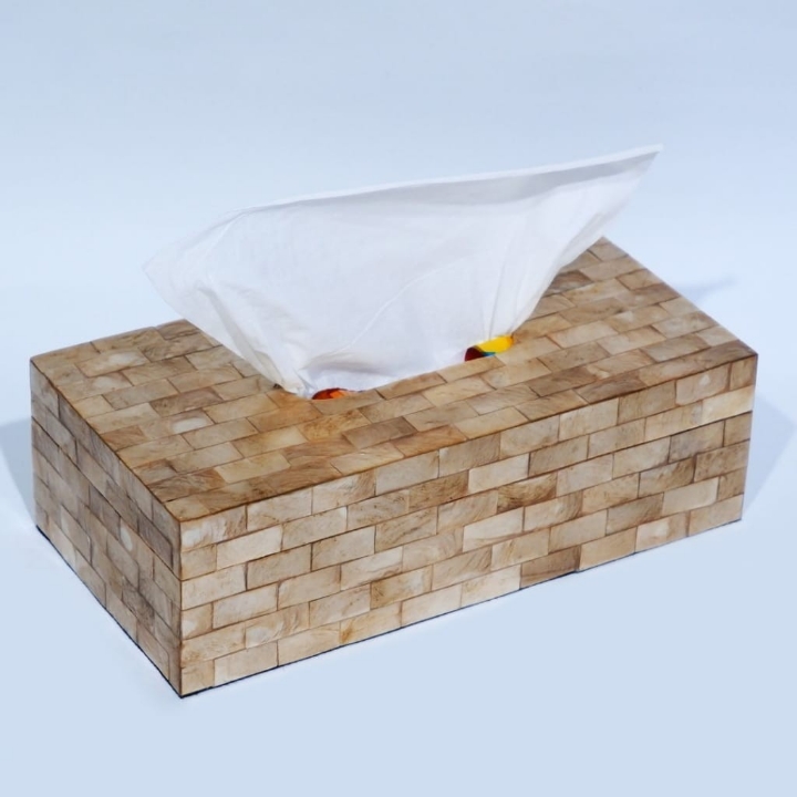 TEMPAT TISSUE KERANG 5