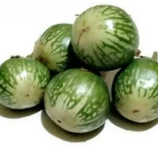 TERONG LALAPAN