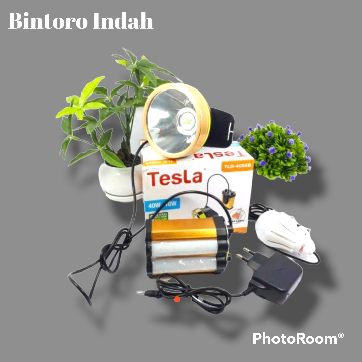 Senter Kepala TESLA 2